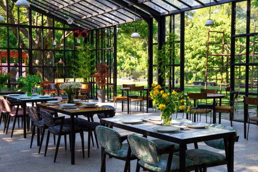 ცისკარი