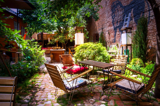 შავი ლომი