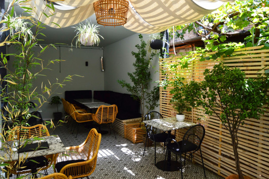 ავოკადო