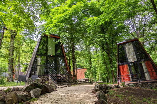 Eco Village In The Forest